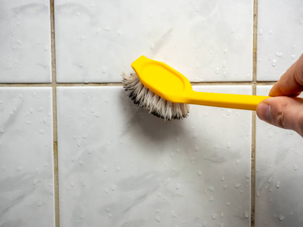 Best Mold Removal Company Near Me  in Ramblewood, NJ